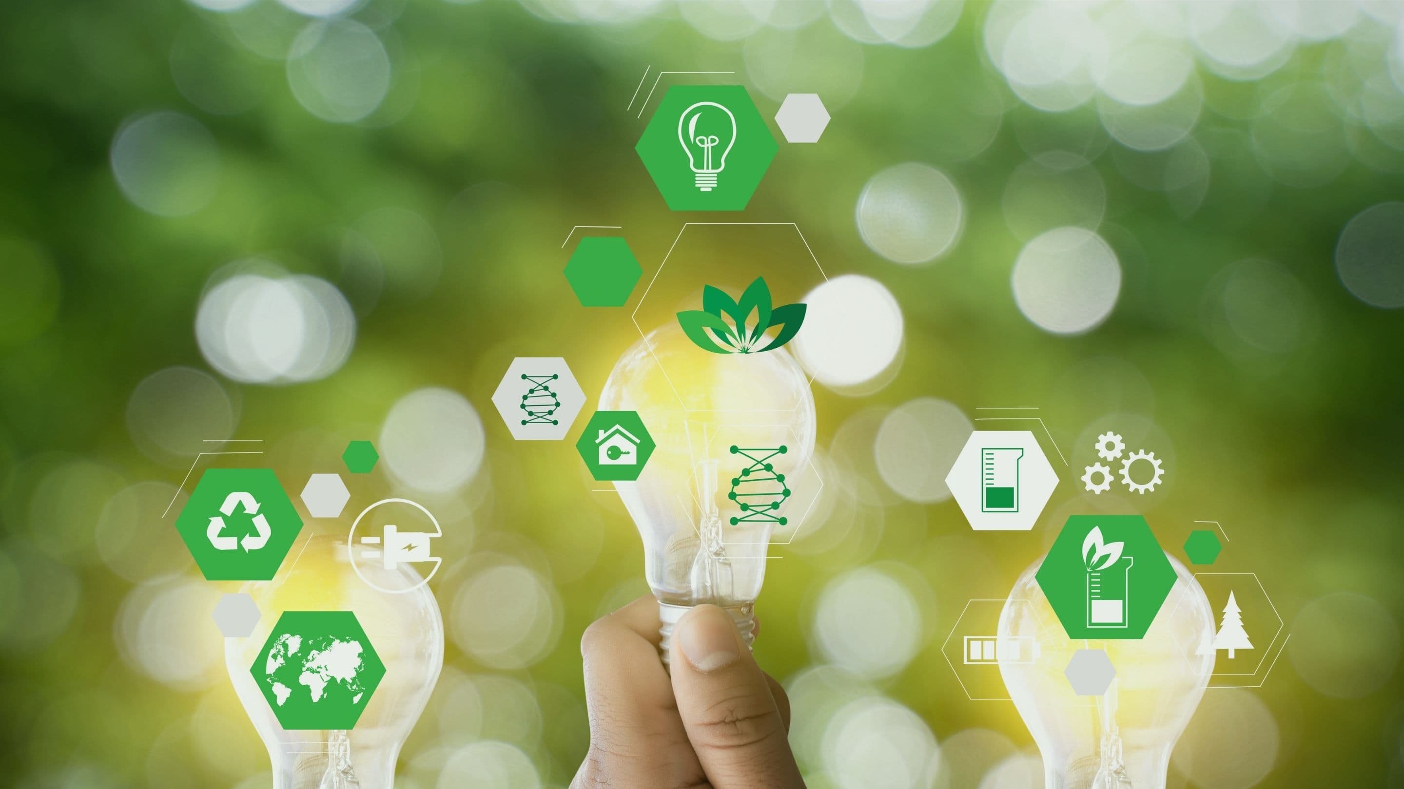 Sustainable construction project