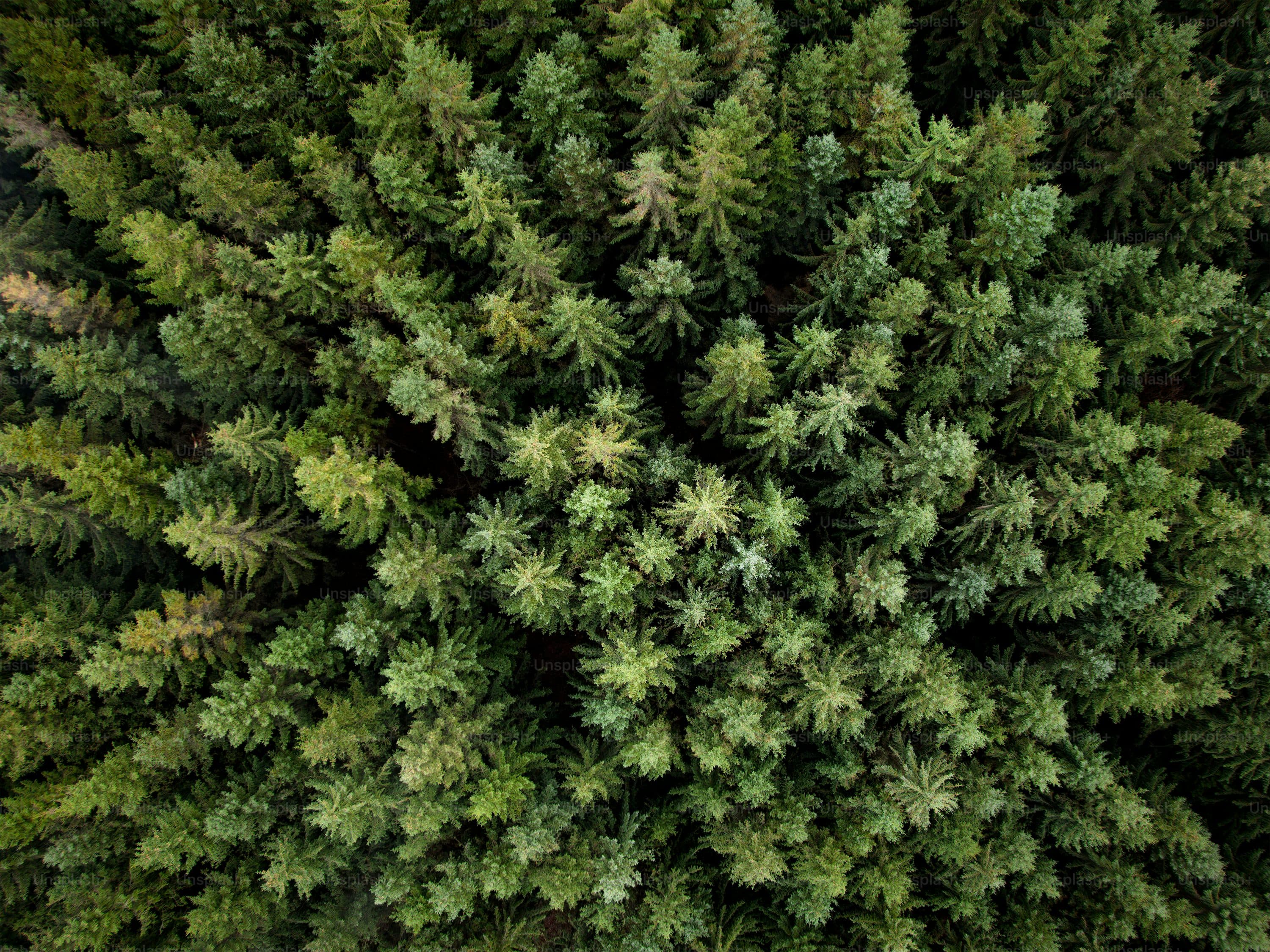 Sustainable construction